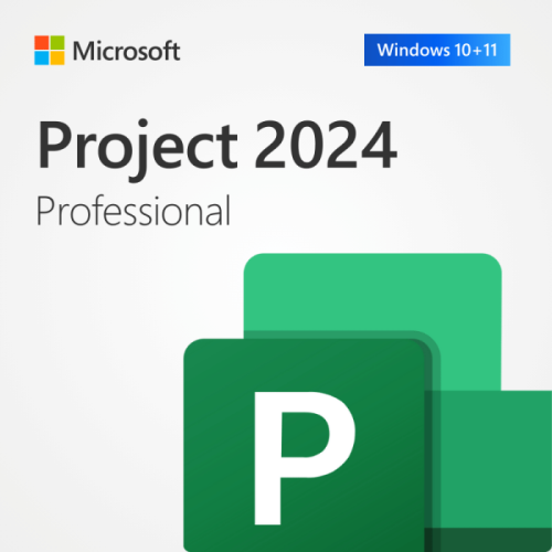 PROJECT 2024 PROFESSIONAL